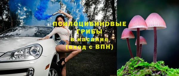 мяу мяу кристалл Инсар