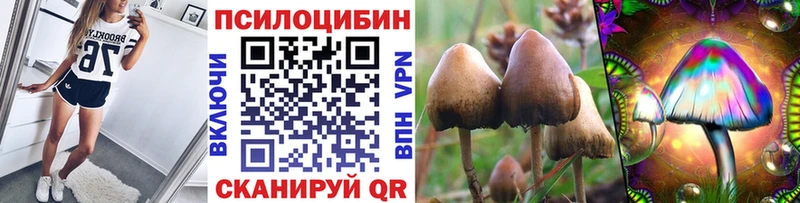Купить где  Ясногорск  Псилоцибиновые грибы прущие грибы 